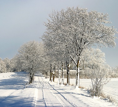 Winterdienst